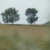 Tour 15: Boltenhagen